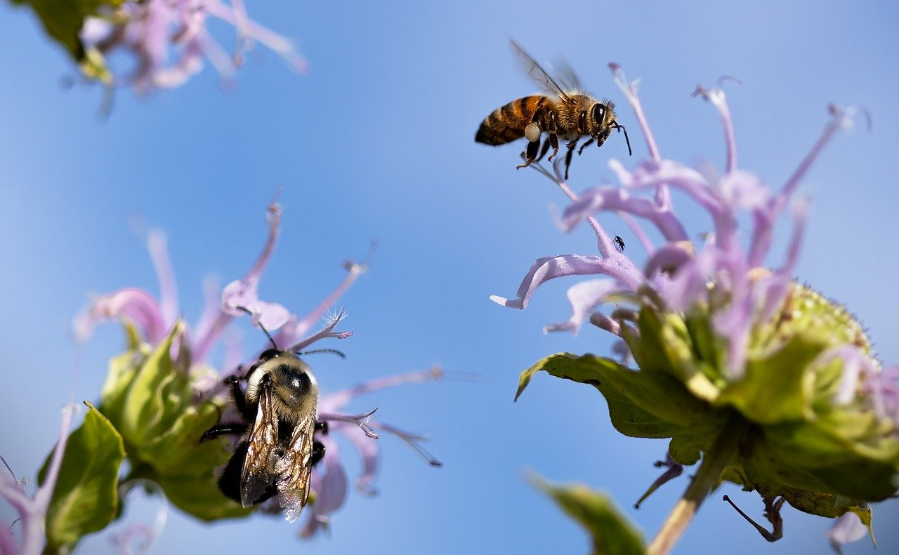 Insektenhotel